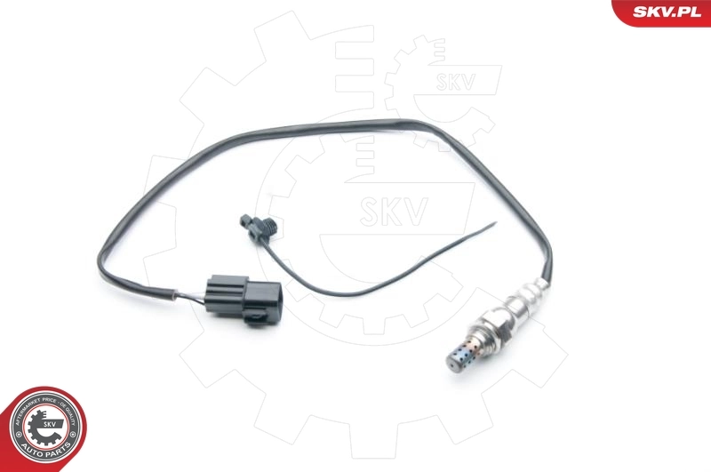 Oxygen Sensor